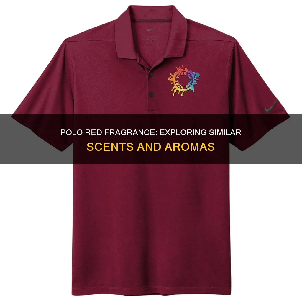 what other fragrance is like polo red