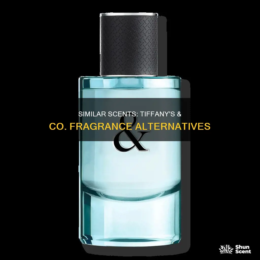 what other fragrance smell similar to tiffany