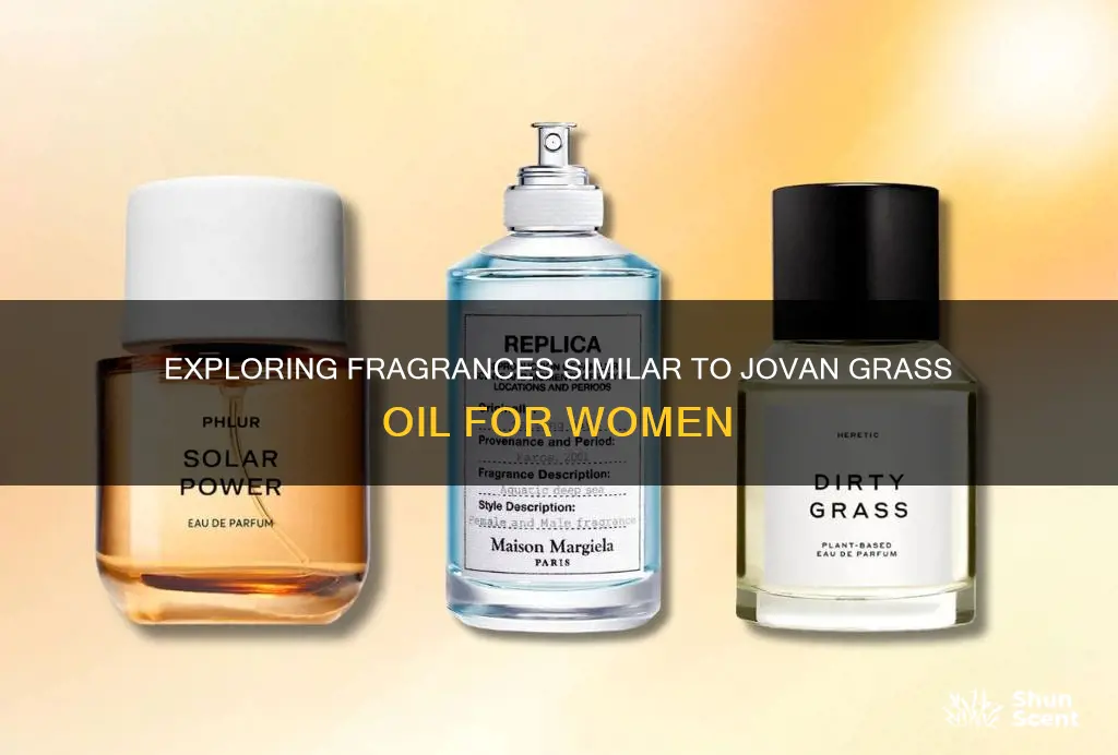 what other fragrance smells like jovan grass oil for women