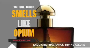 Opium-like Scents: Exploring Similar Fragrances to the Iconic Opium Perfume