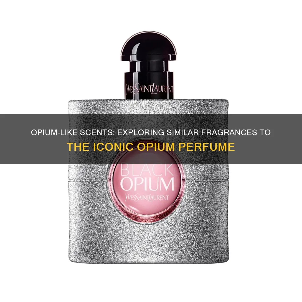 what other fragrance smells like opium
