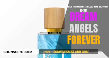 Dream Angels Forever: Exploring Similar Scents in Fragrances