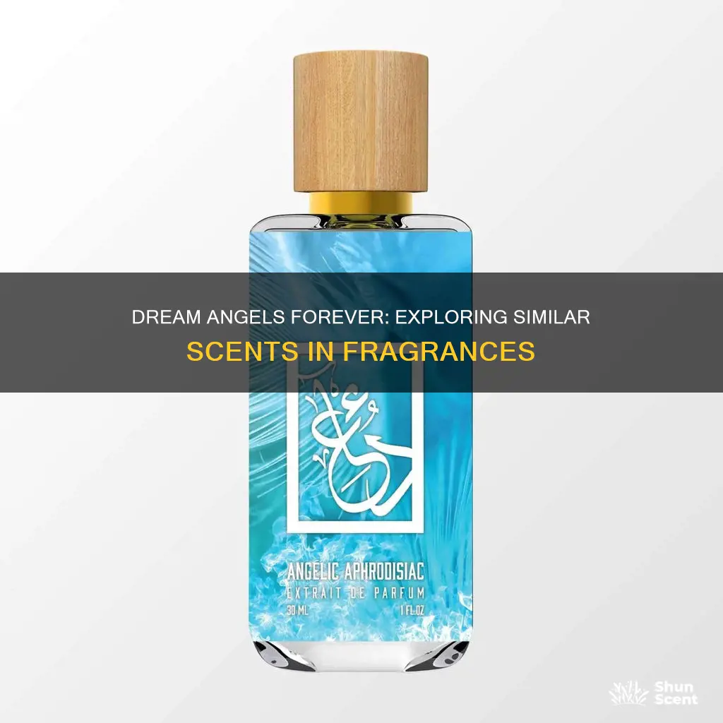 what other fragrance smells like victoria secret dream angels forever