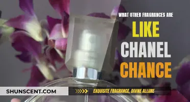 Similar Scents to Chanel Chance: Exploring Feminine Fragrance Options