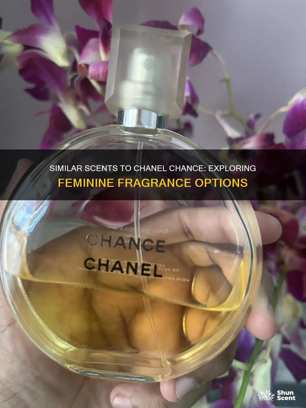 what other fragrances are like chanel chance