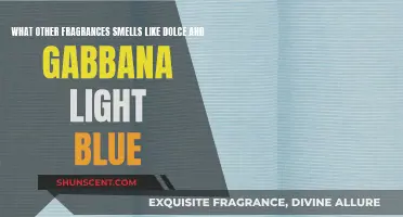 Discover Dolce & Gabbana Light Blue's Fragrance Cousins