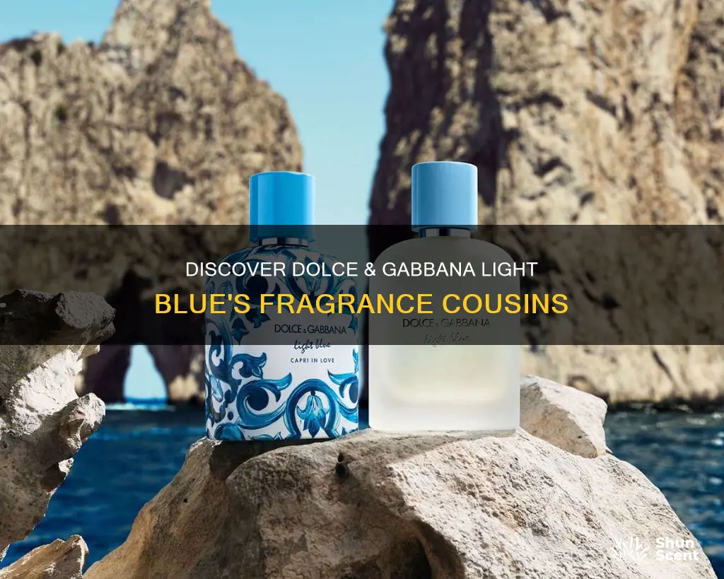 what other fragrances smells like dolce and gabbana light blue