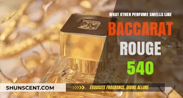 Similar Scents to Baccarat Rouge 540: Alternative Perfumes
