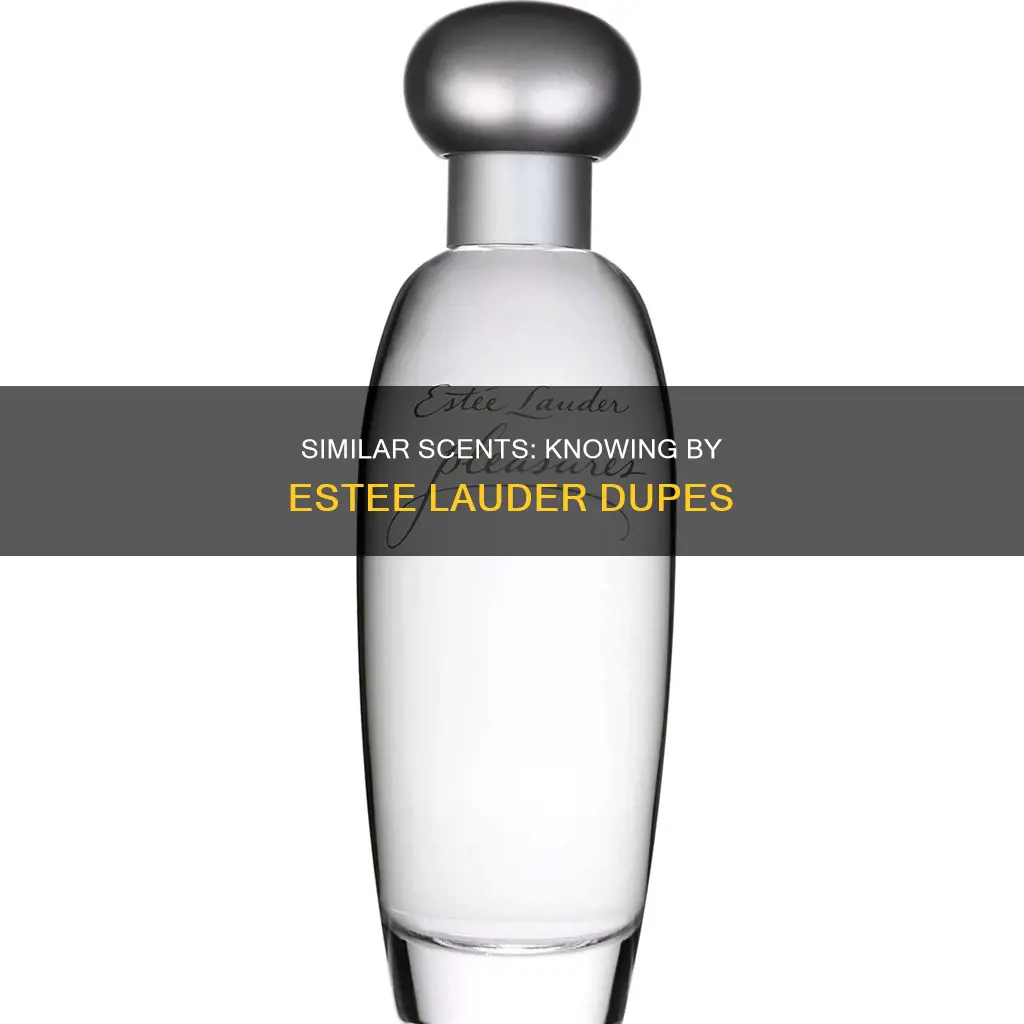 what other perfume smells like knowing by estee lauder