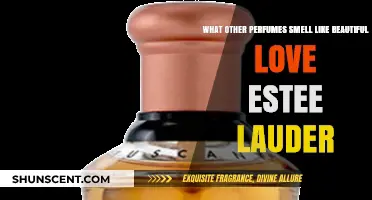 Beautiful Love: Discover Similar Scents to Estee Lauder's Classic