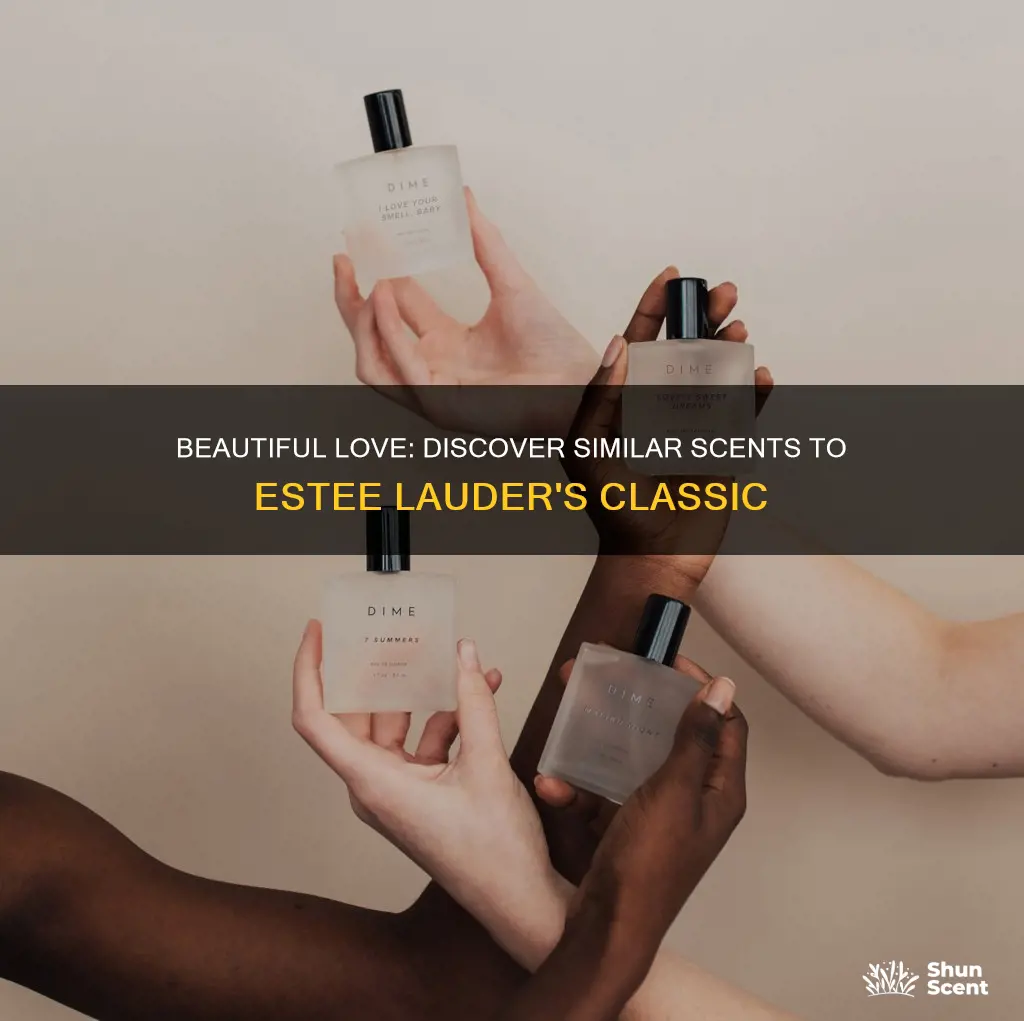 what other perfumes smell like beautiful love estee lauder