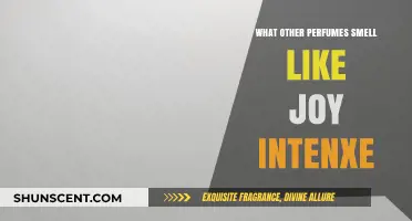 Joy Intense Perfume Dupes: Similar Scents to Try