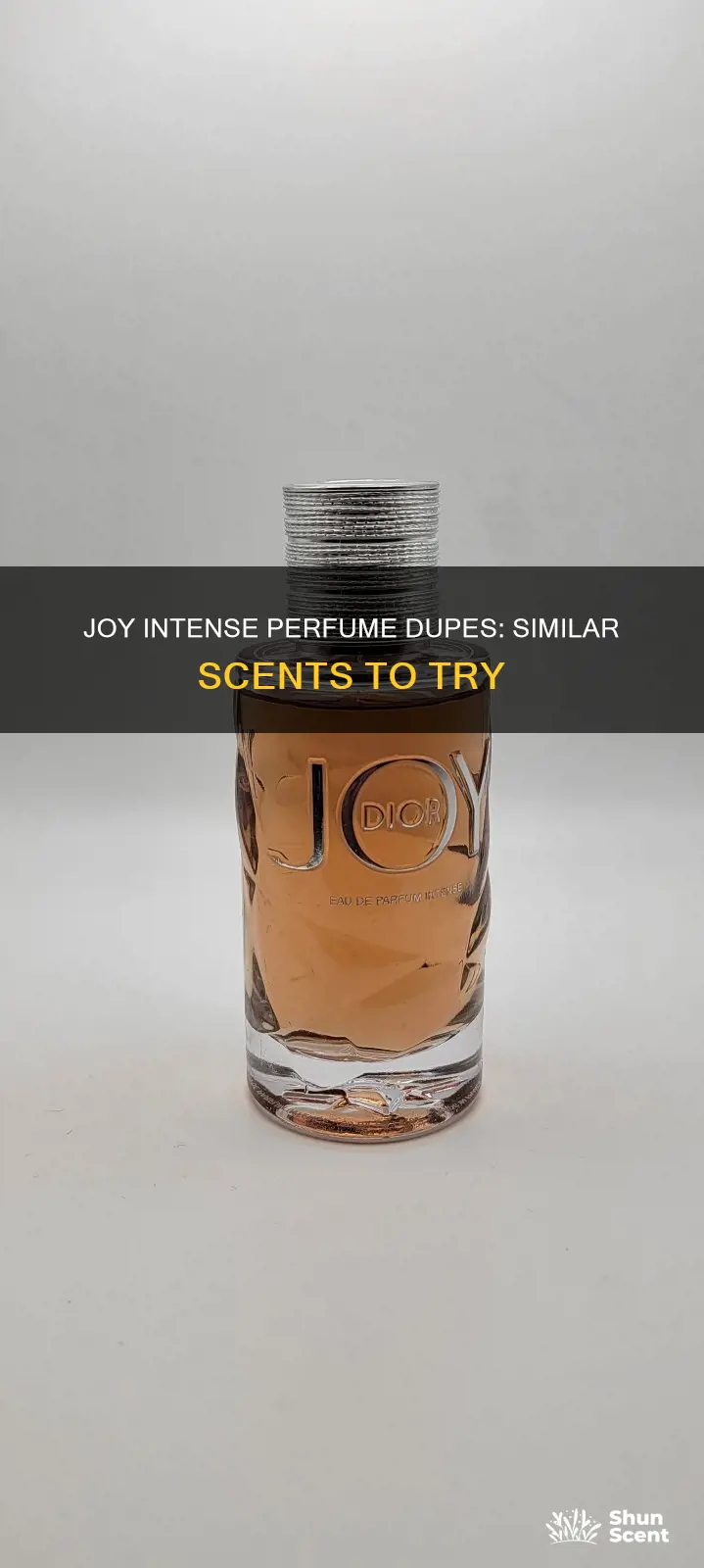 what other perfumes smell like joy intenxe