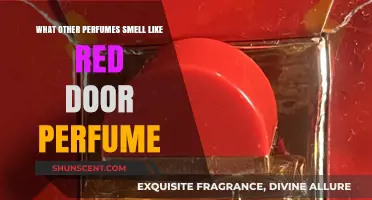 Similar Scents: Perfumes That Resemble Red Door