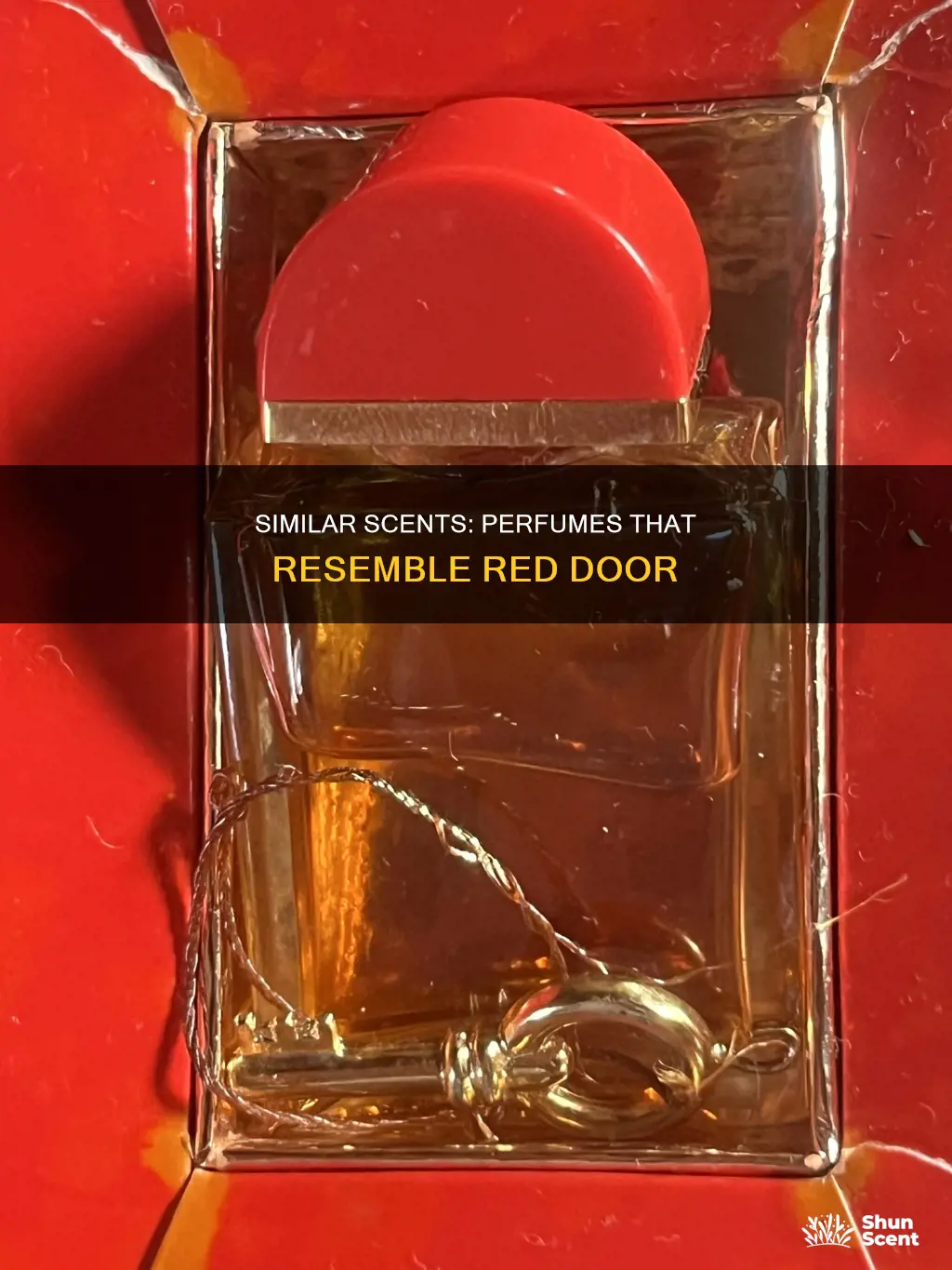 what other perfumes smell like red door perfume