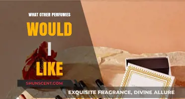 Finding Your Scent: Exploring Similar Perfumes