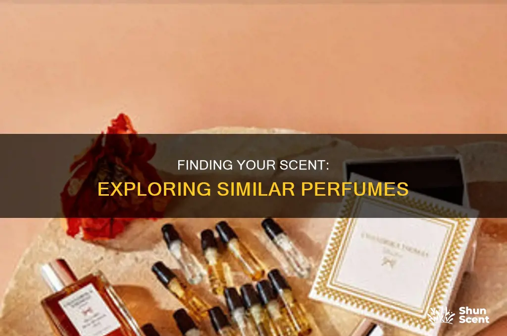 what other perfumes would i like