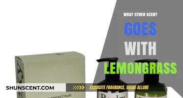 Lemongrass Pairings: Discover the Perfect Aromatic Complements for a Fresh Scent
