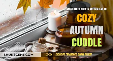 Warm and Cozy Scents: Autumn Cuddle Alternatives to Try Now