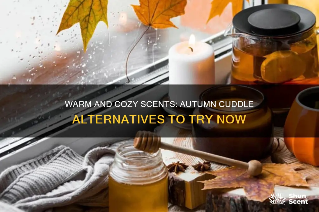 what other scents are similar to cozy autumn cuddle