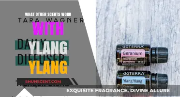 Blending Ylang Ylang: Discover Complementary Scents for Perfect Aromatic Harmony