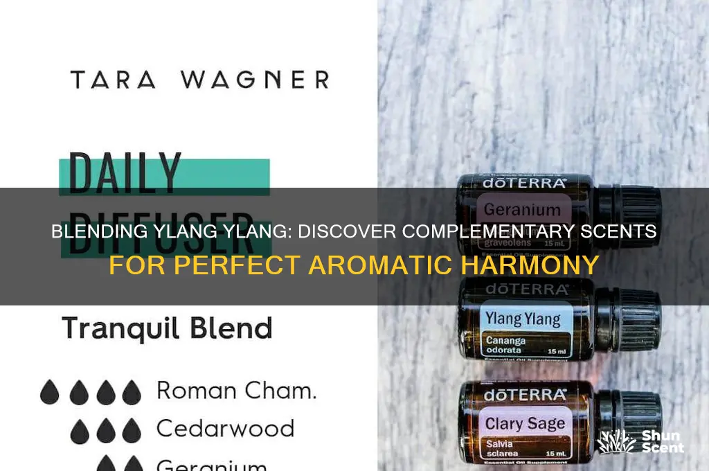 what other scents work with ylang ylang