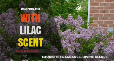 Lilac Scent Pairings: Perfect Matches for a Fresh, Floral Aroma