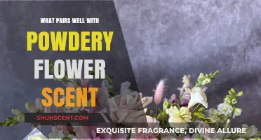 Powdery Floral Fragrances: Perfect Pairings for a Delicate, Dreamy Scent