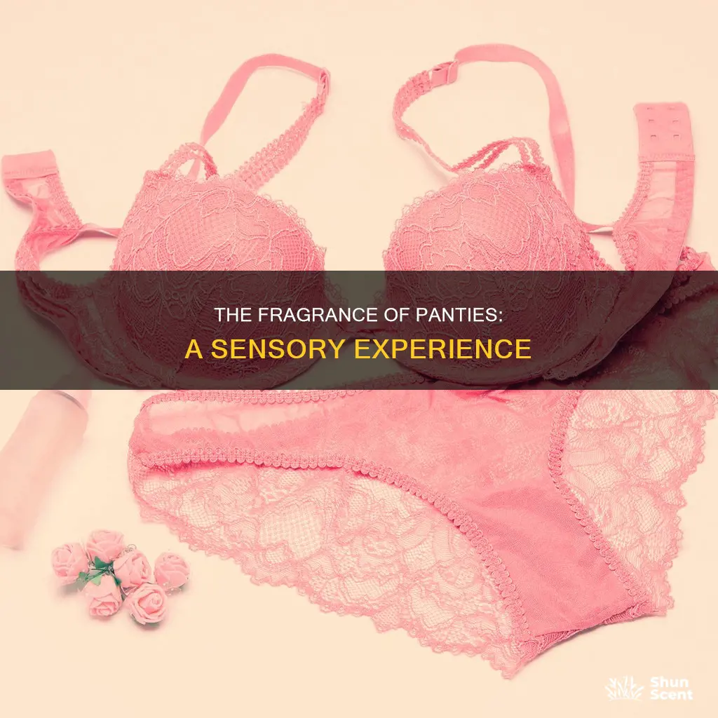 what panties are fragrance