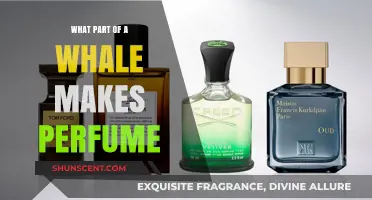 The Secret of Whale Perfumes: Scent from Within