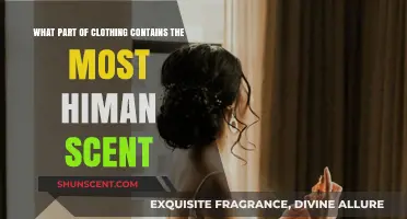 Unveiling the Most Scent-Retentive Garment: Where Human Odor Lingers Longest