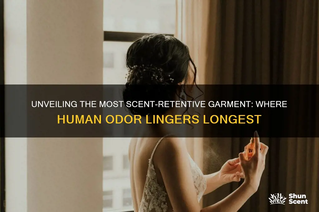 what part of clothing contains the most himan scent