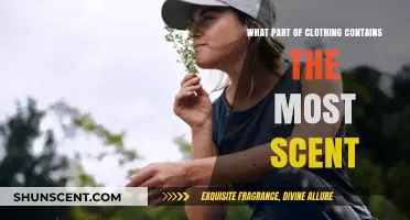 Unveiling the Scent Secrets: Which Clothing Item Holds the Most Fragrance?