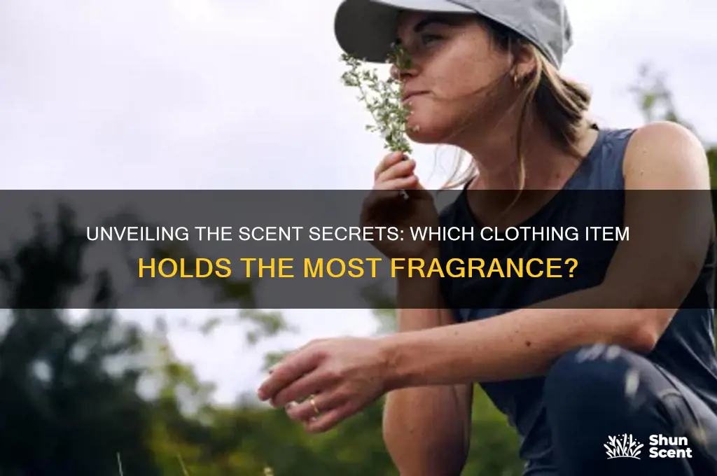 what part of clothing contains the most scent