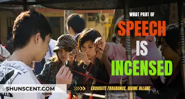 The Part of Speech That's Incensed: A Guide
