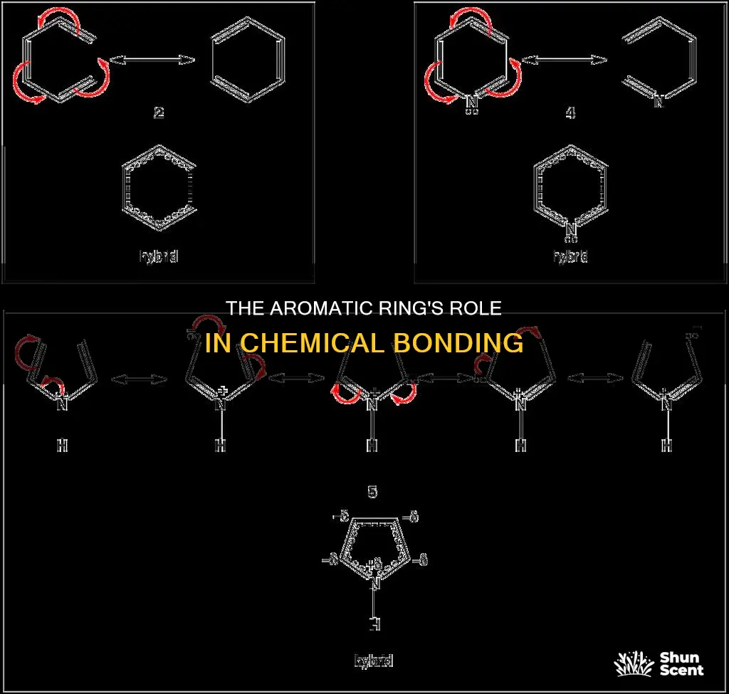 what part of the arom is part of bonds