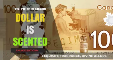 Sniffing Out the Truth: Canada's Scented Dollar Bills Explained