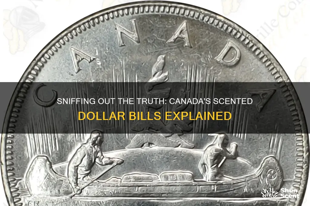 what part of the canadian dollar is scented