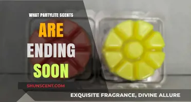 Partylite Scents Ending Soon: Last Chance to Stock Up!