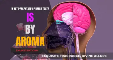 Aroma's Dominance in Beer's Taste Experience