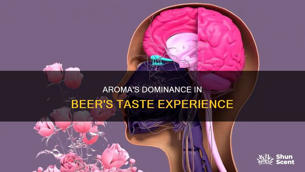 what percentage of beers taste is by aroma