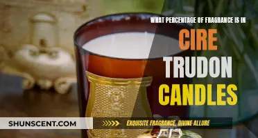 Trudon Candles: Fragrance Percentage and Scent Throw