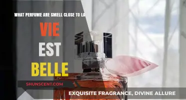 La Vie Est Belle: Similar Scents and Smells
