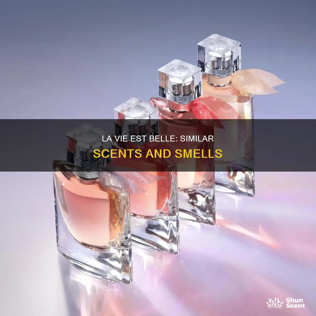 what perfume are smell close to la vie est belle