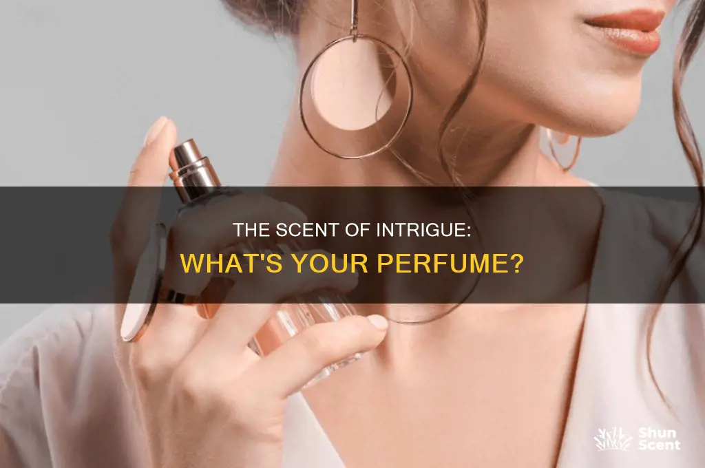 what perfume are you wearing meaning