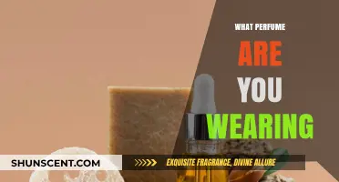 Your Signature Scent: What's Your Perfume Style?