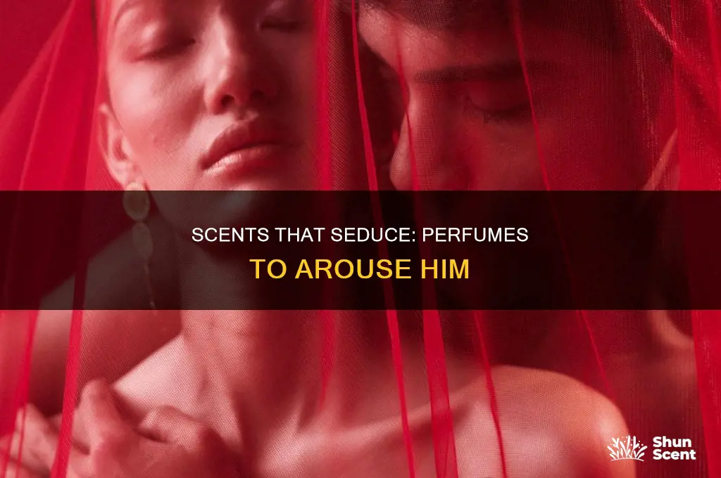 what perfume arouse a man