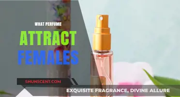 The Science of Attraction: Scents that Entice Women