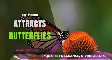 The Sweet Scents that Entice Butterflies