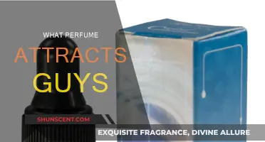 Scents that Drive Men Wild: Picking the Right Perfume